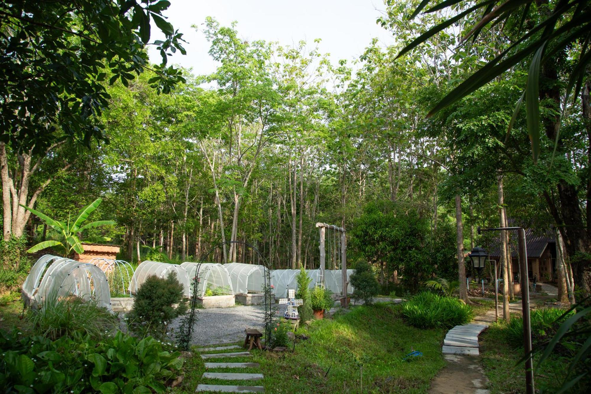 วังภูไพร ฟาร์มสเตย์ Wang Nam Khiao Bagian luar foto